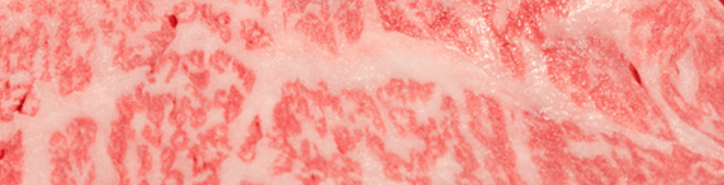 Wagyu cattle