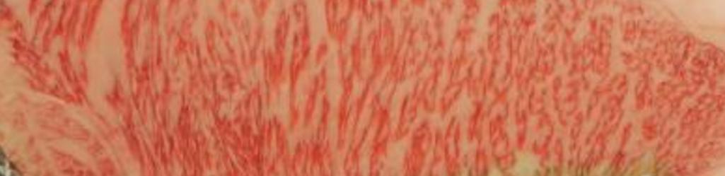 Tajimax full-blood Wagyu bull